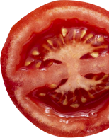 Portão 5
